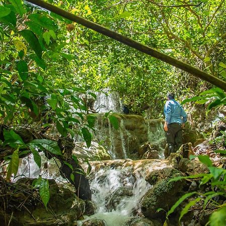 Khao Sok National Park Khao Sok Riverside Cottages מראה חיצוני תמונה