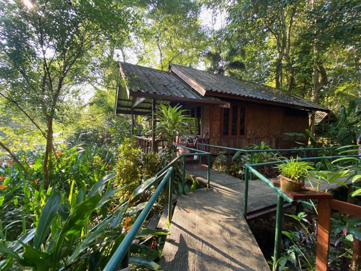 Khao Sok National Park Khao Sok Riverside Cottages מראה חיצוני תמונה