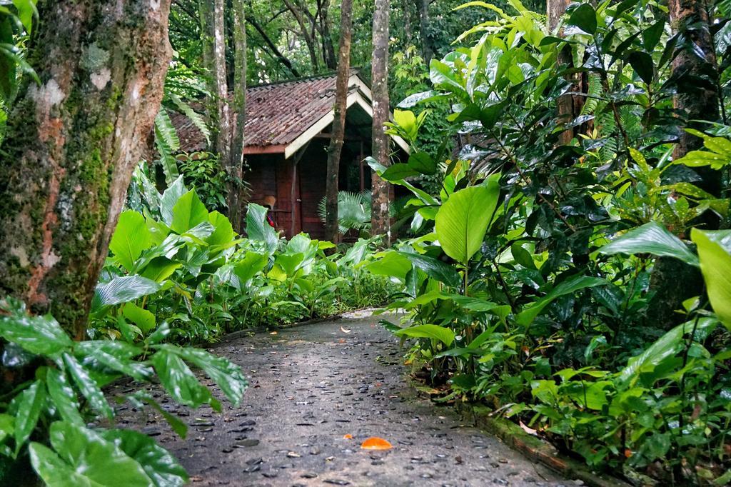 Khao Sok National Park Khao Sok Riverside Cottages מראה חיצוני תמונה