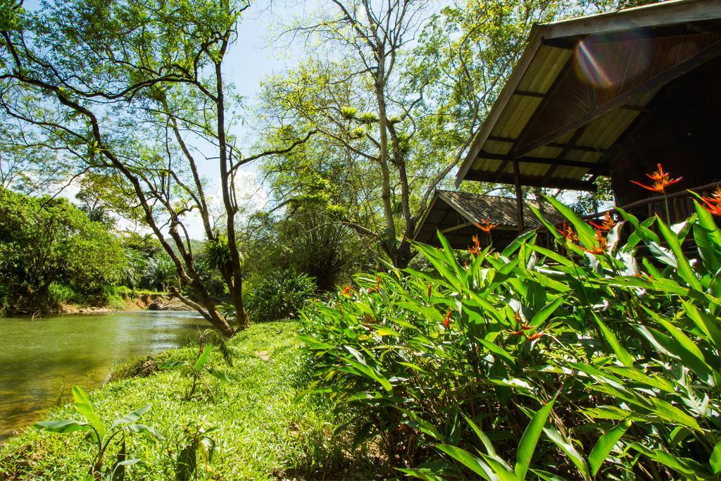 Khao Sok National Park Khao Sok Riverside Cottages מראה חיצוני תמונה