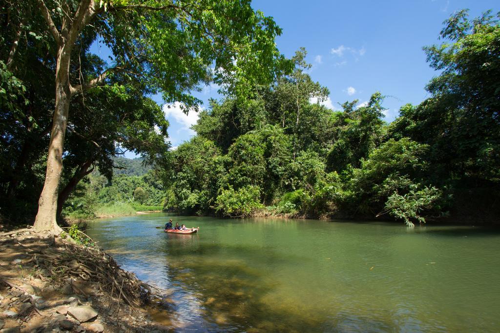 Khao Sok National Park Khao Sok Riverside Cottages מראה חיצוני תמונה